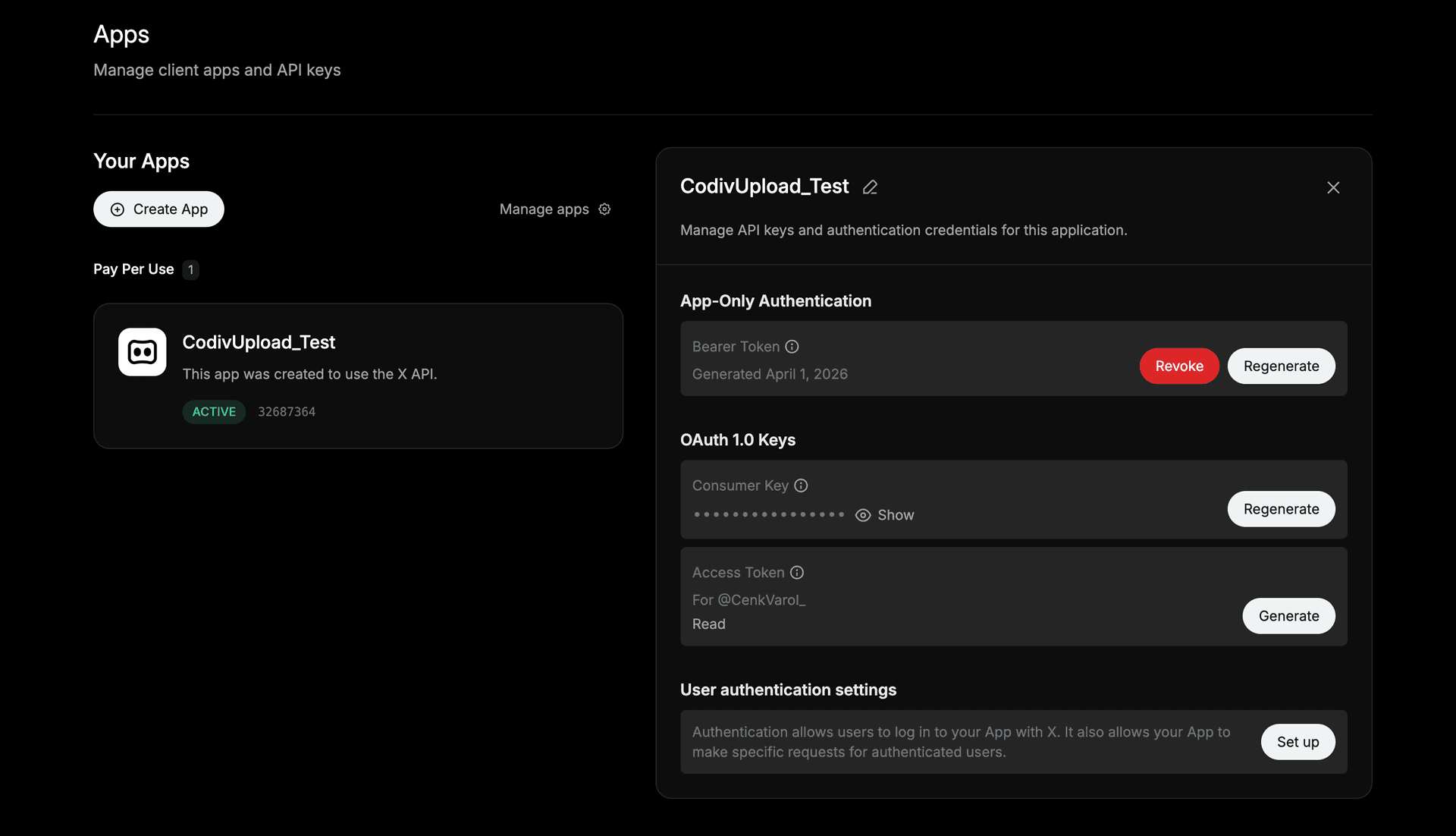 App details showing User authentication settings with Set up button